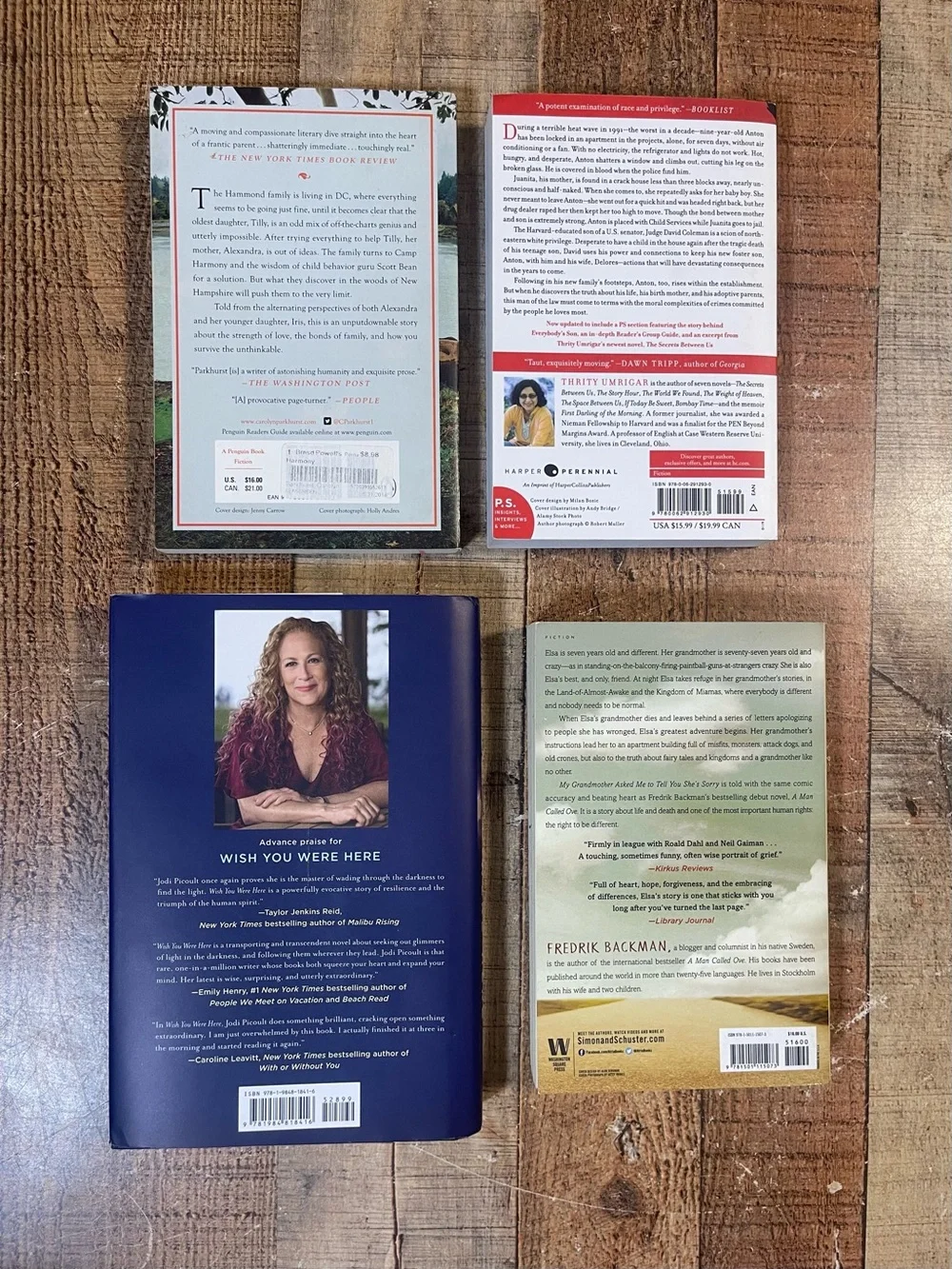 Contemporary Literary Fiction Lit Fic Book Bundle Book Club Romance Family